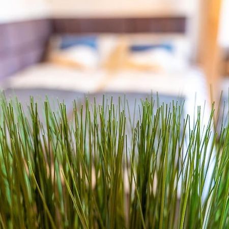 데트몰트 Golden Nugget Inkl Wlan, Parkplatz 아파트 외부 사진